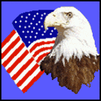 Bald Eagle & American Flag